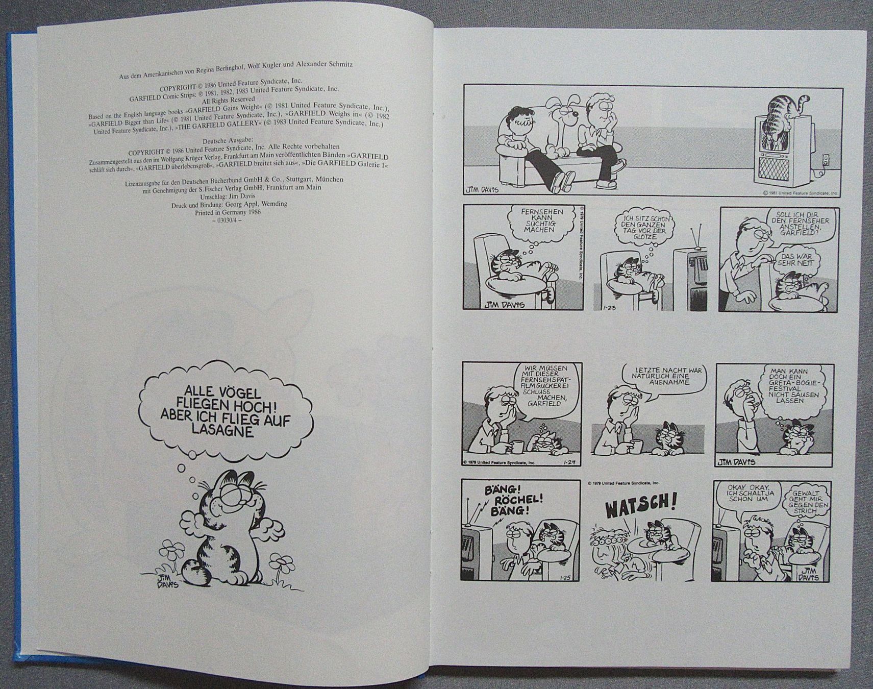 Fumetti: Die Garfield Revue - von Jim Davis – Usato da Auenstein venduto da Padabimbim 2