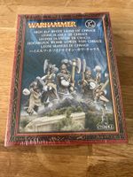 WARHAMMER FANTASY Hochelfen Weisse Löwen von Chrace *RAR*