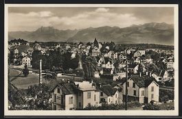Rüti / Zch., Panorama aus der Vogelscha