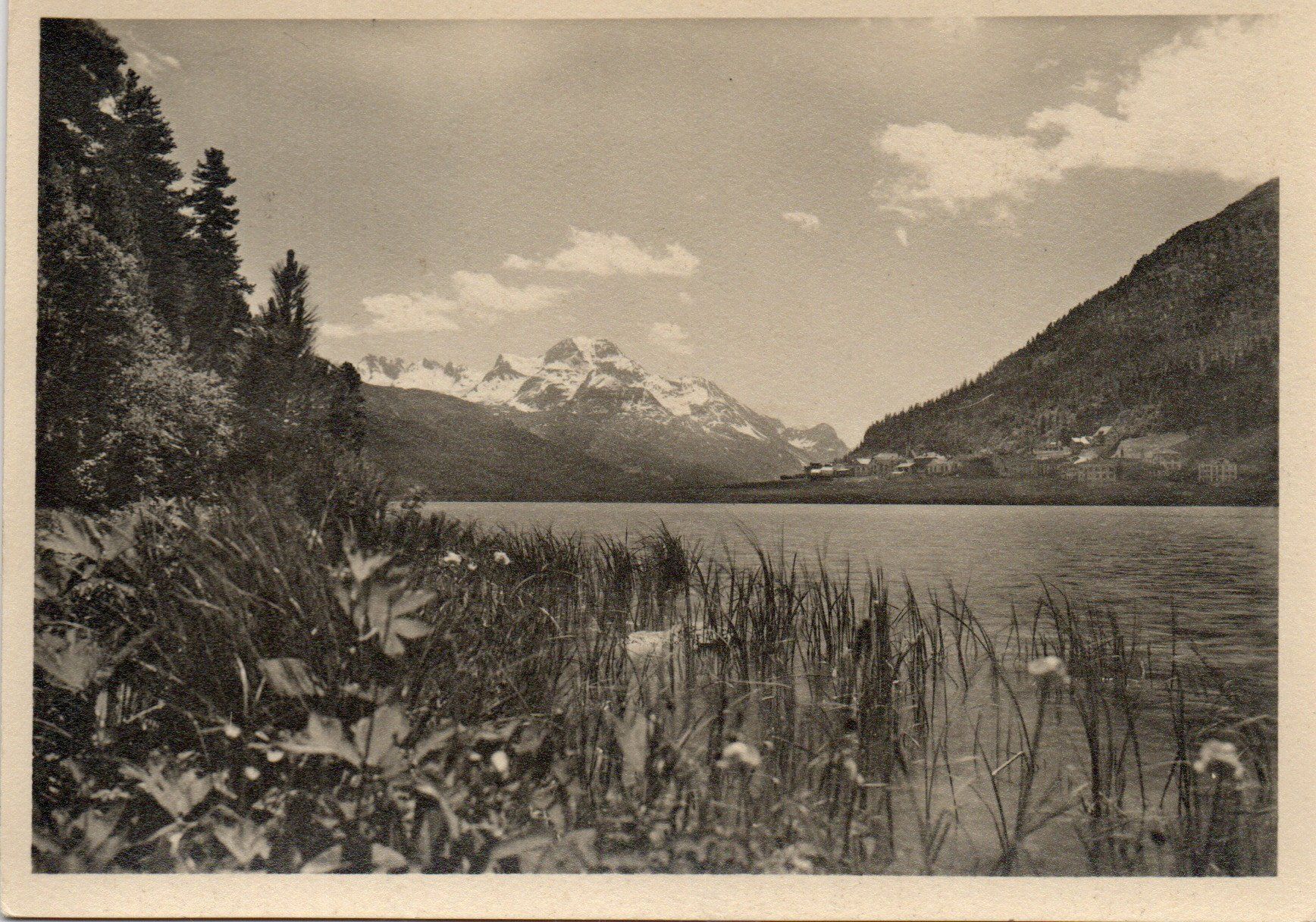 Cartoline postali: Am Silvaplanersee – Usato da Melano venduto da pisonsdro