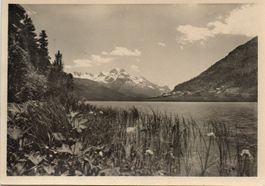 Am Silvaplanersee