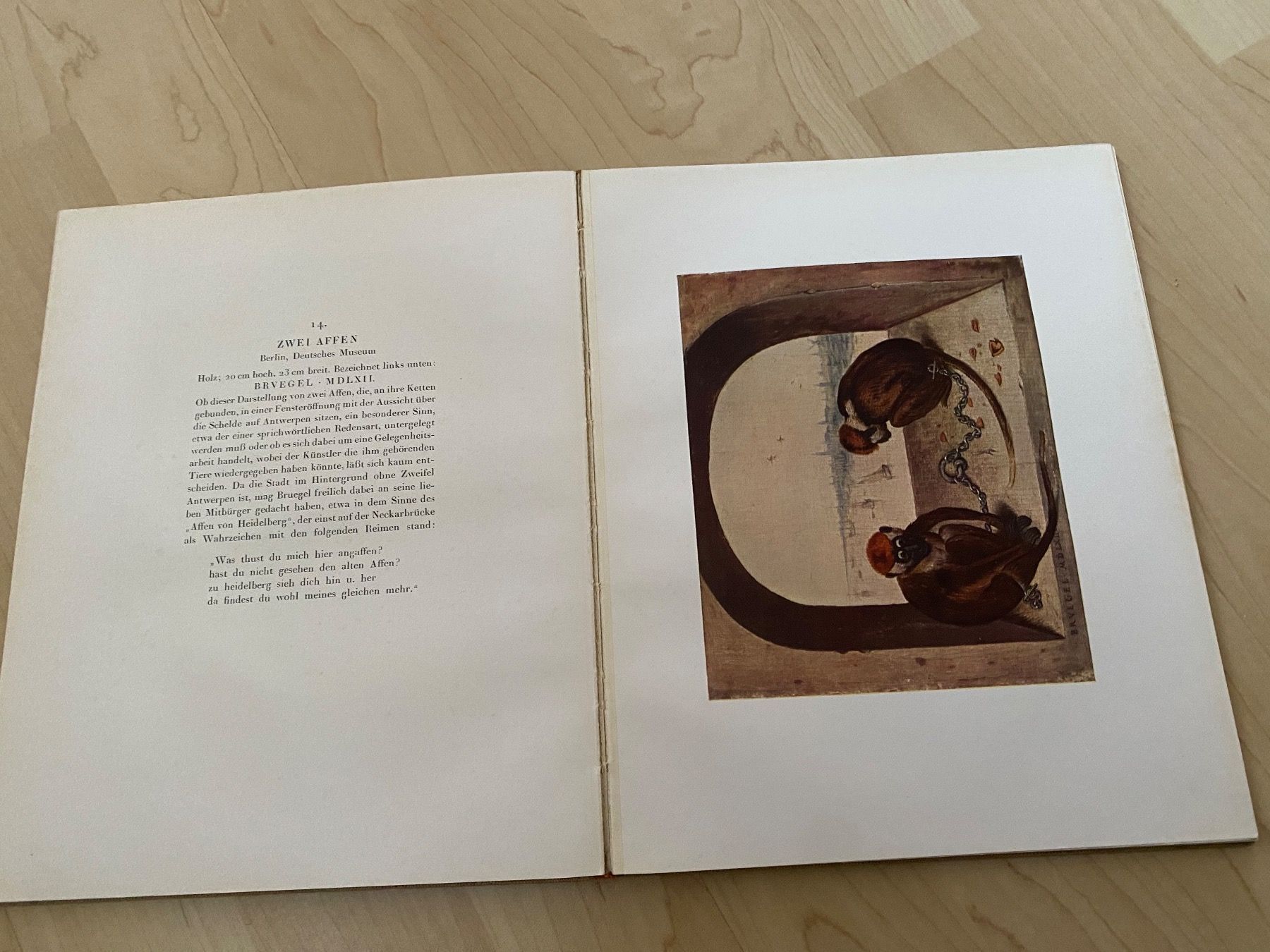 Libri: Das Bruegel Buch – Usato da Luzern venduto da Harikan 5