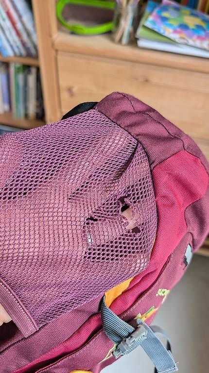 Deuter Zaini: Deuter Kindergarten Rucksack – Usato da Zürich venduto da man_rwk7 1