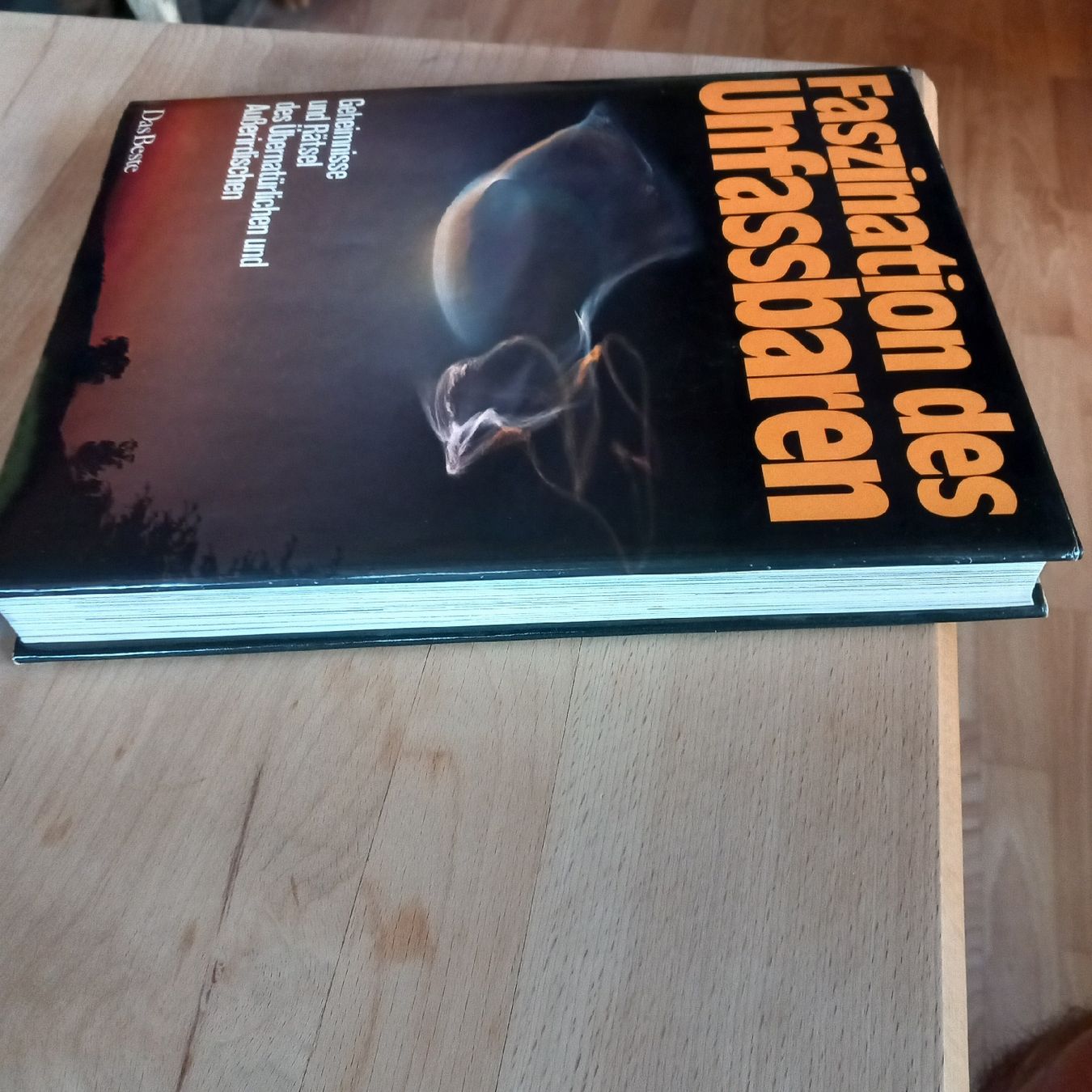 Livres: Faszination des Unfassbaren Buch  – D'occasion à Ebnat-Kappel par blazzi 4