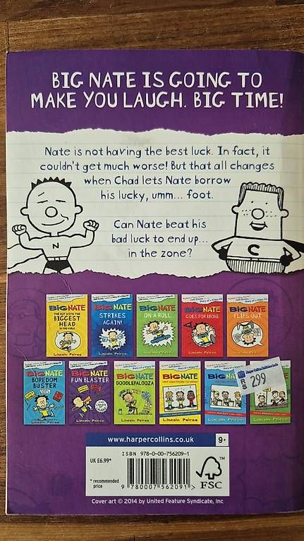 Bücher: BIG NATE, In the Zone – Gebraucht aus Lyss von d_p_id 1