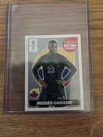 Panini Extra Sticker Silber Caicedo