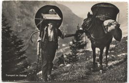 LANDWIRTSCHAFT/ALPWIRTSCHAFT 1940 Kanton Freiburg? Maultier