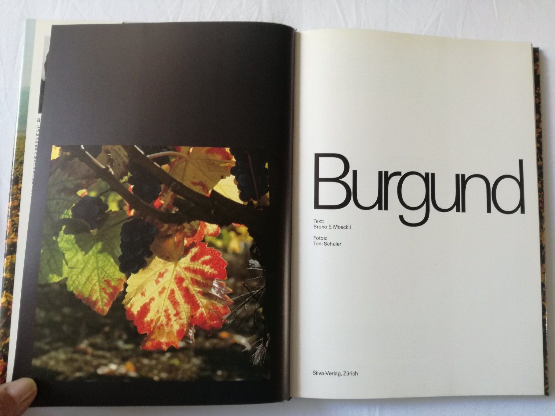 Libri: Silva Buch; Burgund – Usato da Zürich venduto da Tolima194 3