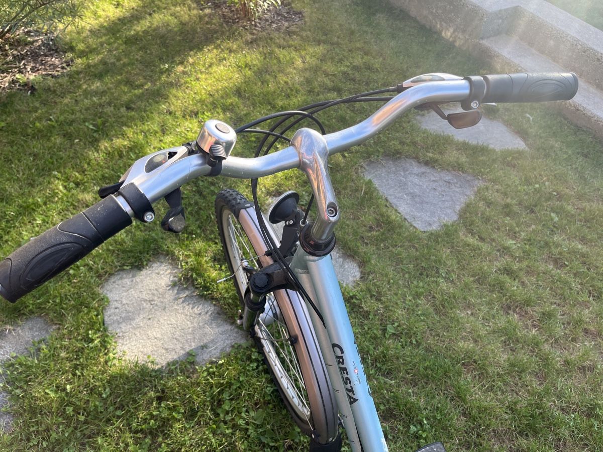 Cresta Biciclette: Cresta Damenfahrrad – Usato da Wermatswil venduto da Tumbala 1