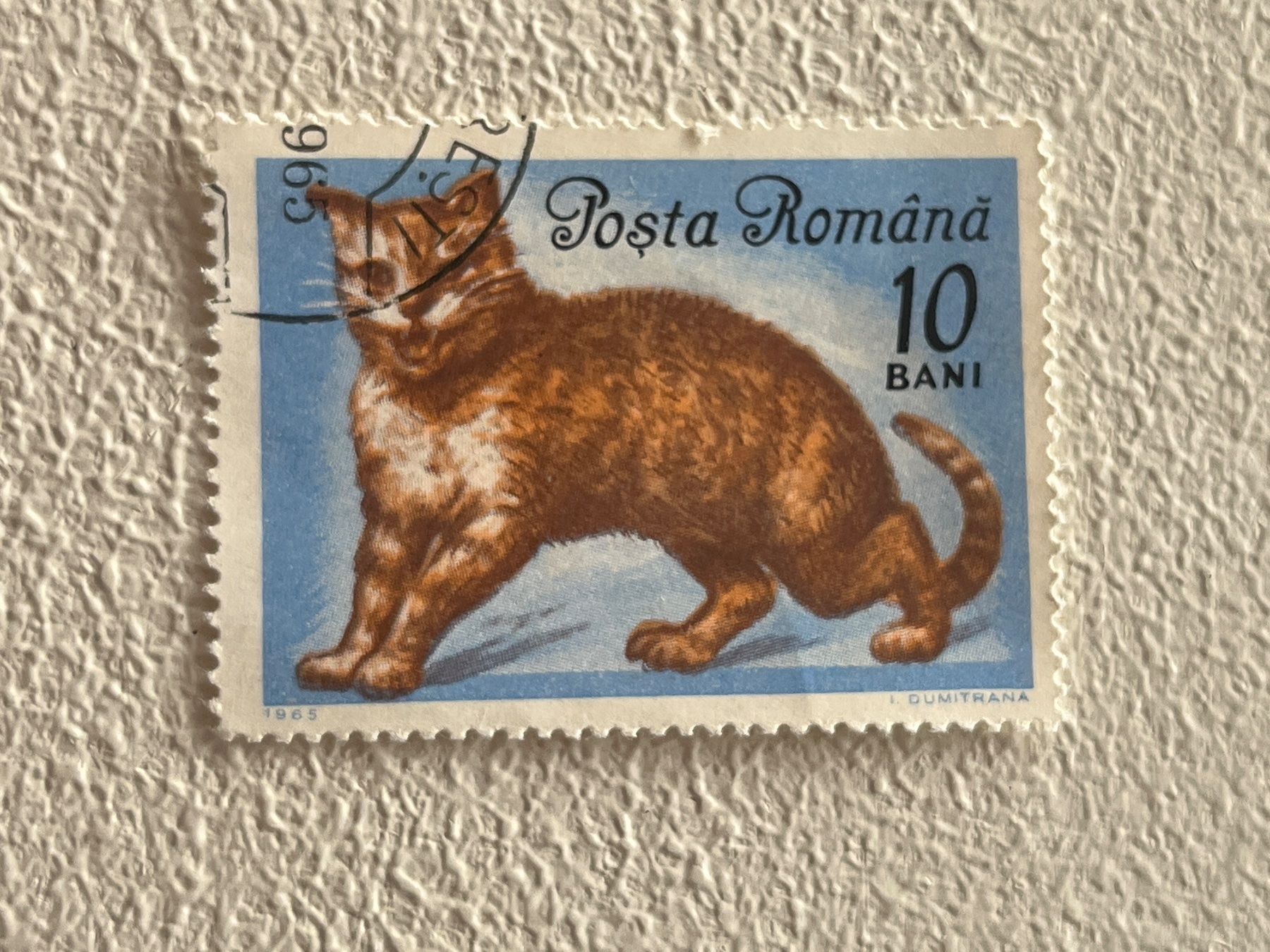 Tutti i francobolli: Romania Briefmarke – Usato da Chiasso venduto da AzenYa