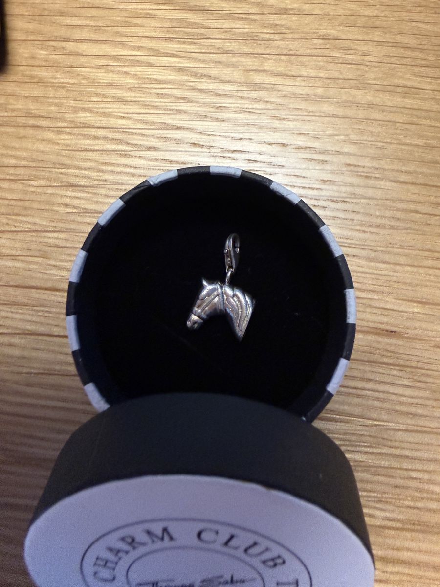 Thomas Sabo Ciondoli: Thomas Sabo Pferdekopf Charm – Usato da St. Gallen venduto da lau_5ffy 1