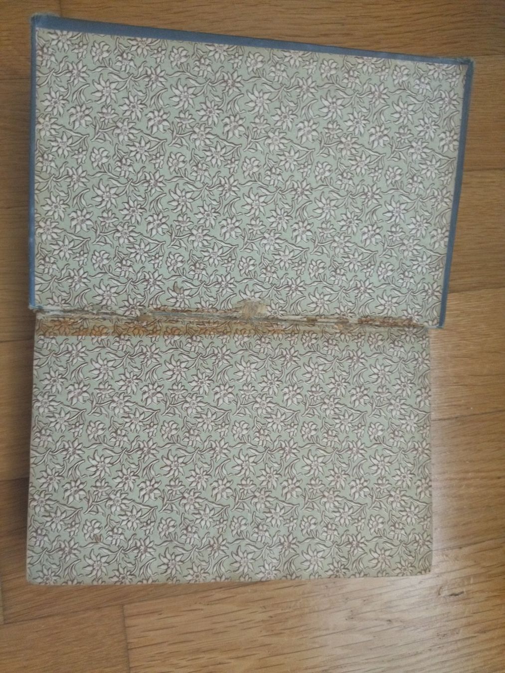 Libri: Kochbuch antik 1899 – Usato da Felben-Wellhausen venduto da bananajoe8474 5