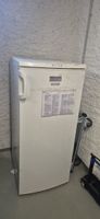 Gefrierschrank Electrolux weiss 6 Schubladen