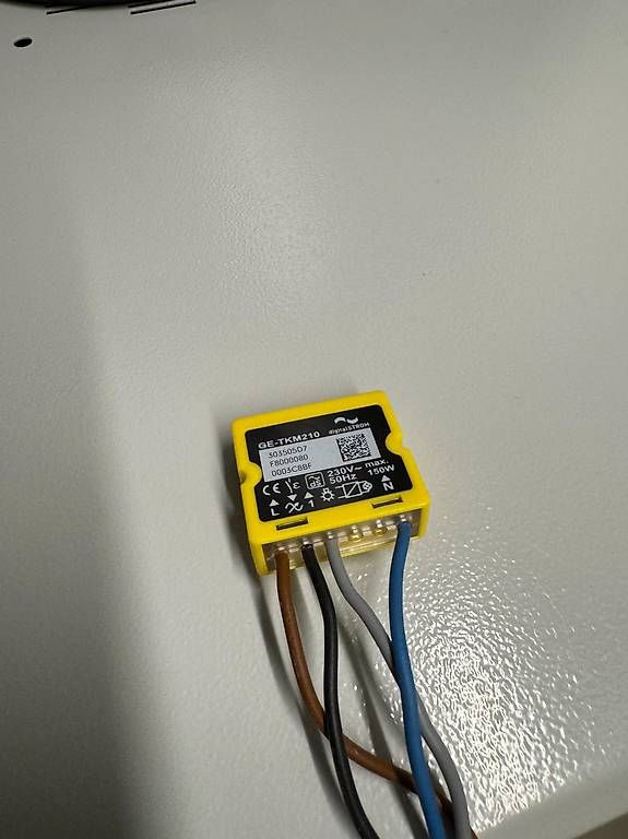 DigitalSTROM Componenti elettronici: TKM210 und SW-TKM210 digitalSTROM – Usato da Kyburg venduto da Ferrarischumi 1