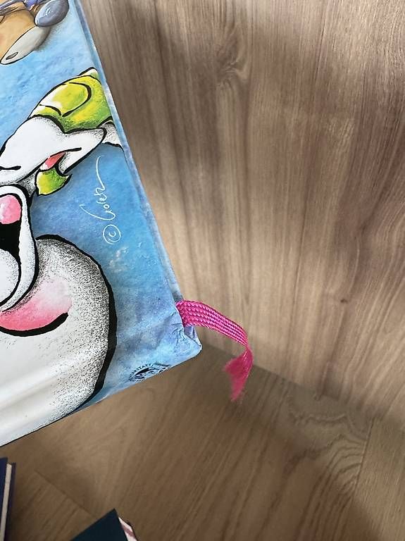 Libri: Buch "Dss große Buch von Diddl und seinen Freunden" – Usato da Zollikerberg venduto da sop_p82l 3