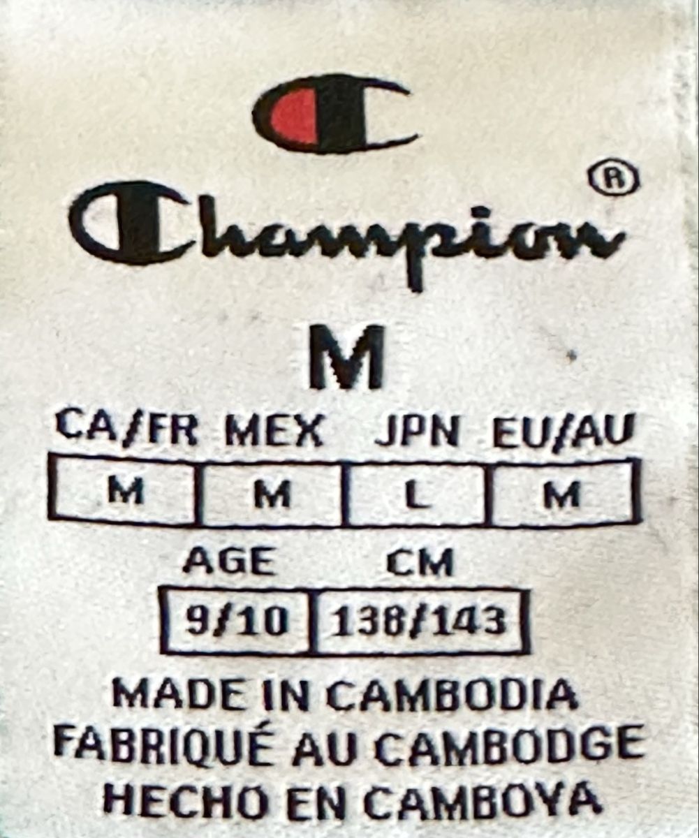 Champion Maglioni & Felpe: Felpa in misto cotone Champion – Usato da Castel San Pietro venduto da Moregi 2