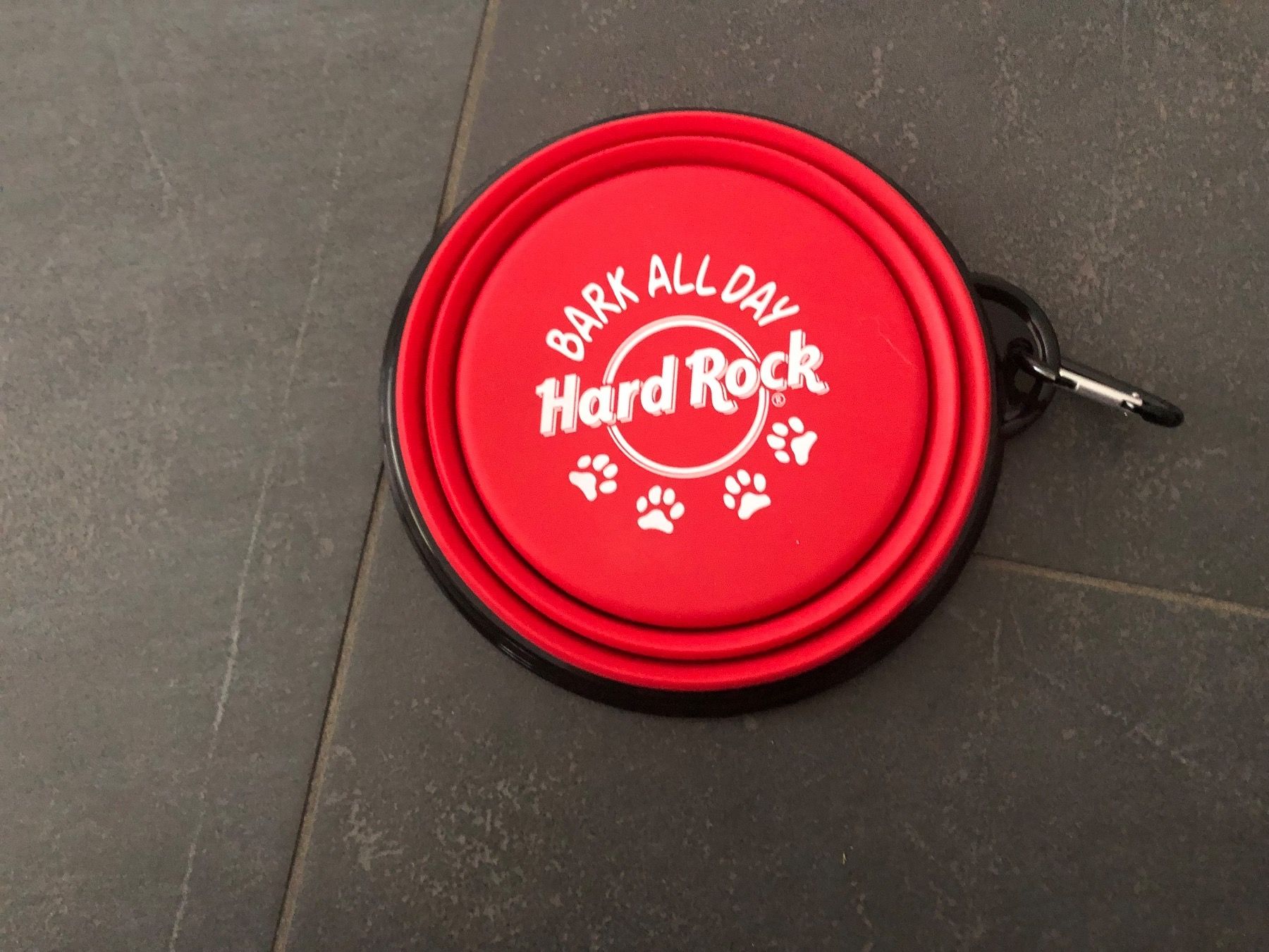 Pentole: Hundenapf - Hard Rock Café – Nuovo (secondo la descrizione) da Oberuzwil venduto da jabano