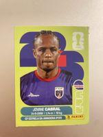 Panini Sticker CPV 16