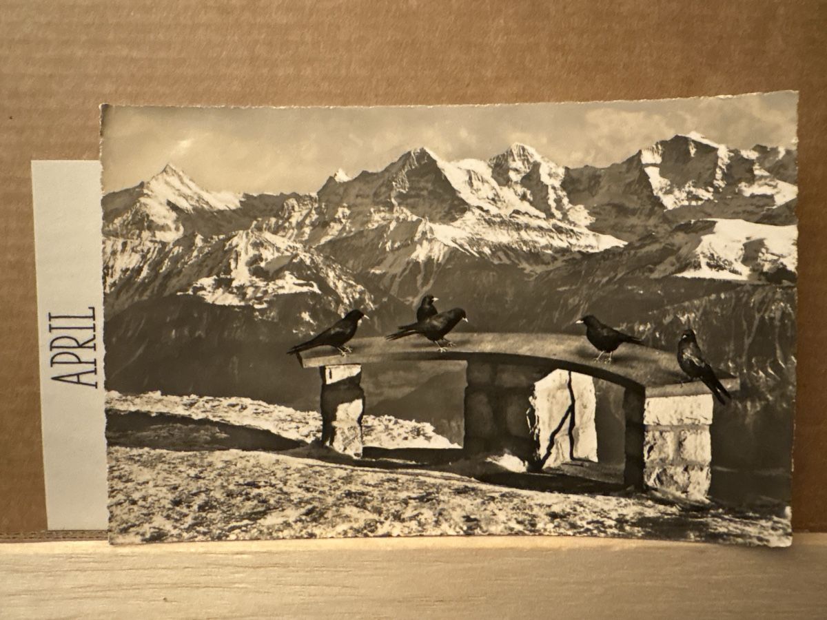 Cartoline postali: AK von Beatenberg – Usato da Rümlang venduto da Kartenpost1