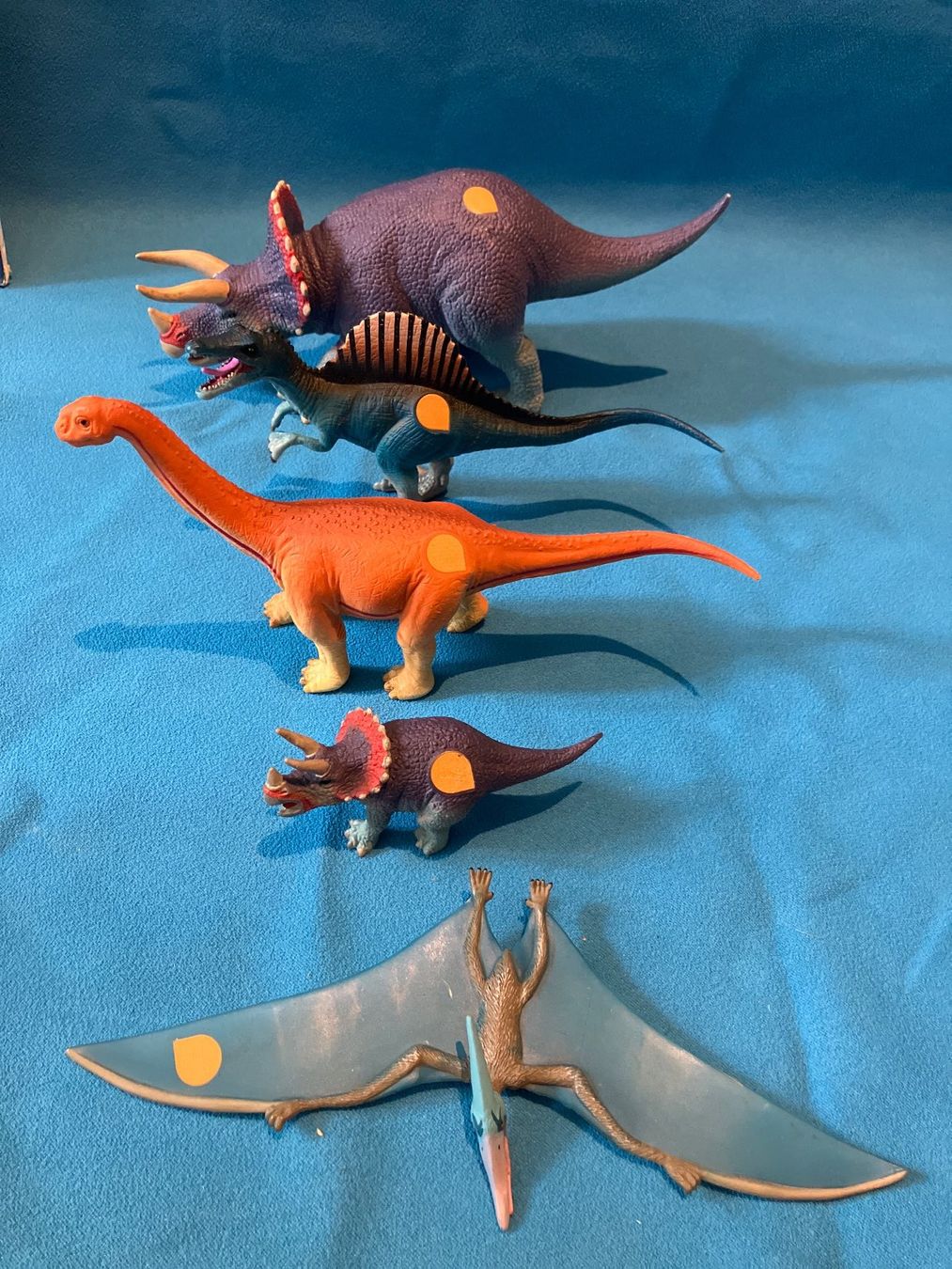 Libri: Tip-Toi Dinosaurier – Usato da Grenilles venduto da pattes-blanches 2