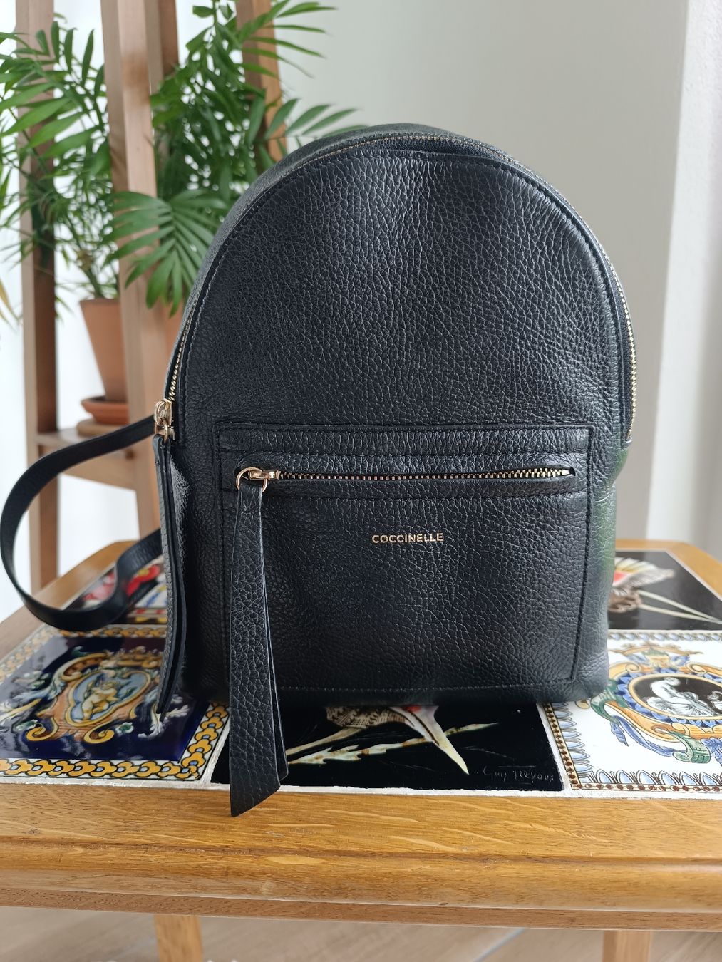 Coccinelle Zaini: Rucksack von Coccinelle – Usato da Wolfwil venduto da SecondOwner