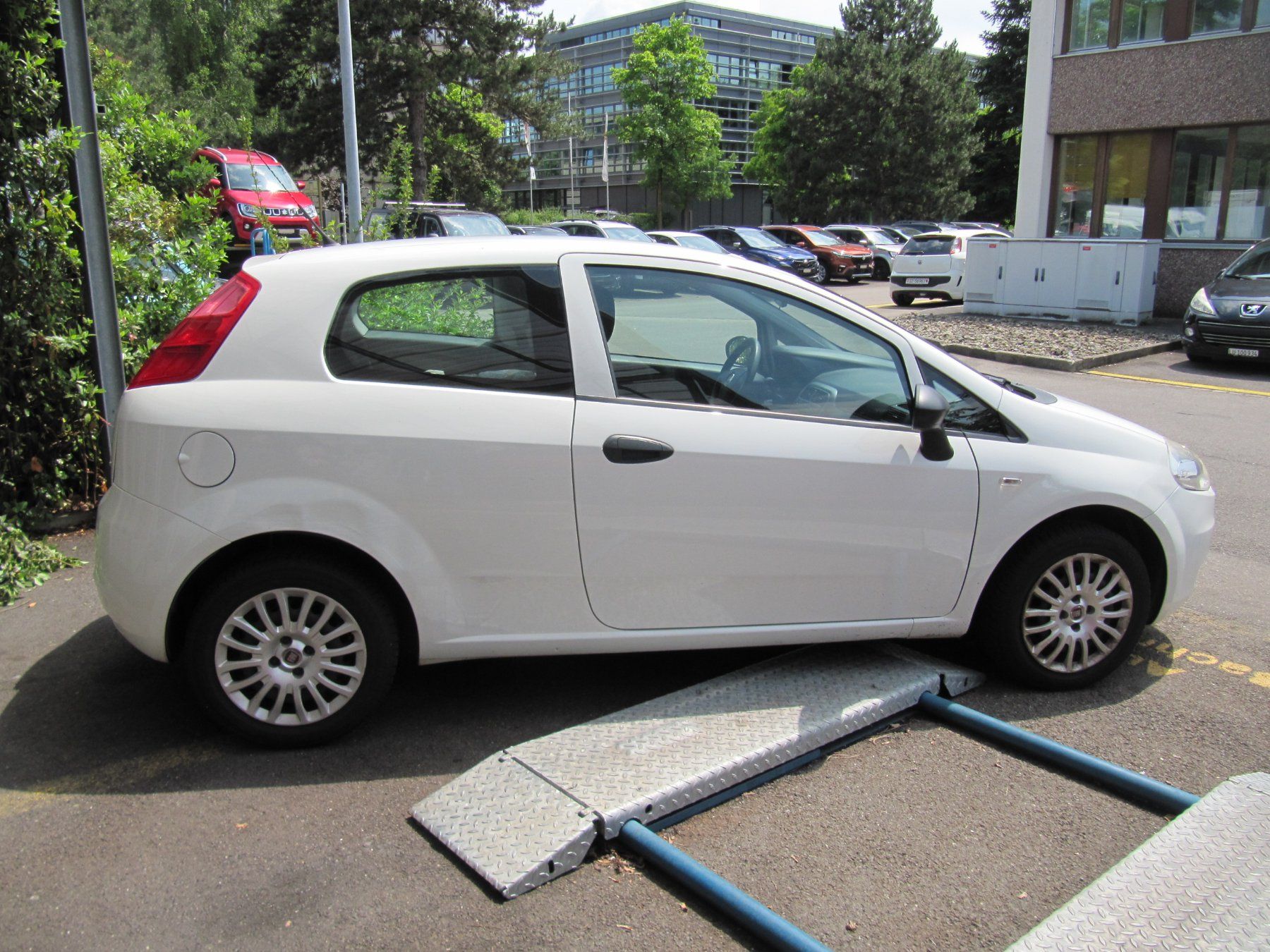 Fiat Automobili: Fiat Punto 1.2 8V ab MFK 2025 – Usato da Rotkreuz venduto da auto-bachmann 4