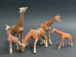 5 Schleich Giraffen Giraffe Tiere