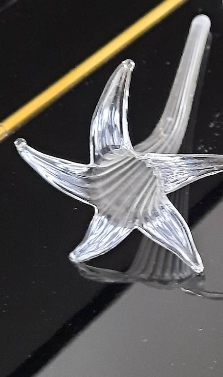 Gläser: Glasblume – Gebraucht aus Bern von ANIP 1