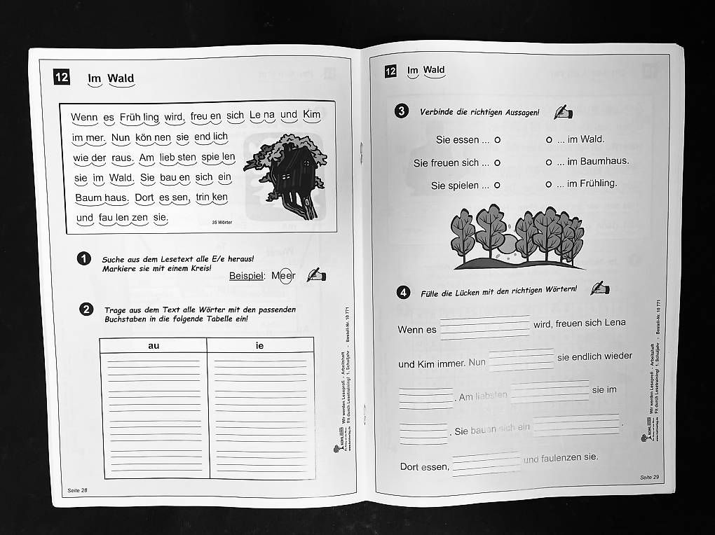 Libri: Deutsch 1./2. Kl., Leseförderung, Primarschule – Nuovo (secondo la descrizione) da Luzern venduto da Feliz 2