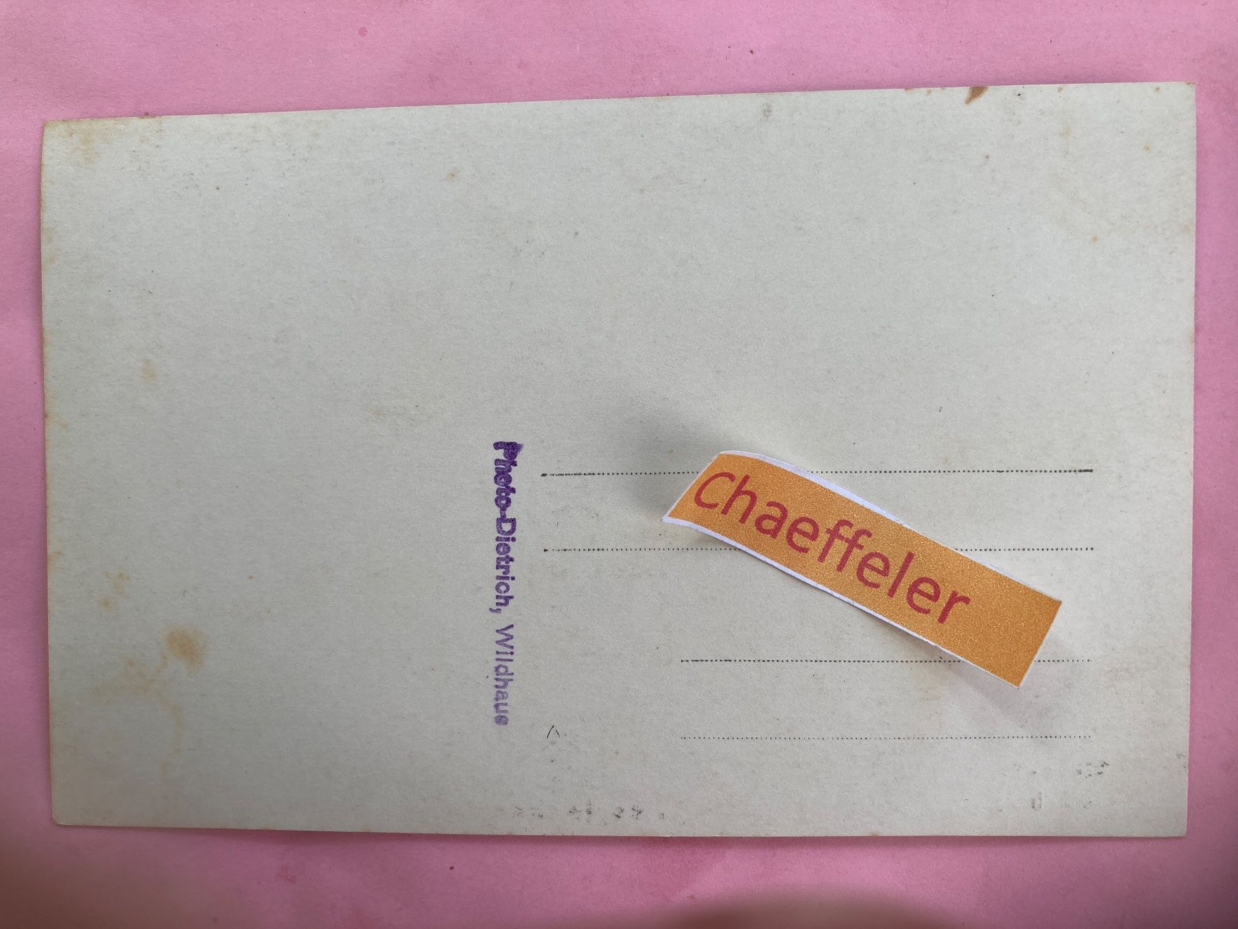 Cartoline postali: Säntis-Farm Wildhaus.  Silberfüchse – Usato da Zürich venduto da Chaeffeler 1