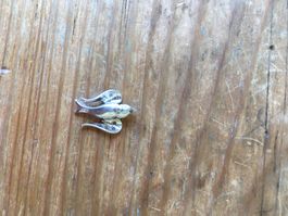 pendentif oiseau en argent 800