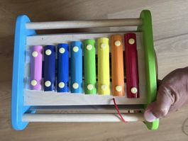 3 Motorikspielzeuge für Kinder (ab 12 mt)