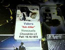 0,32 g vom Kuh-Killer - Meteorit Valera aus Venezuela