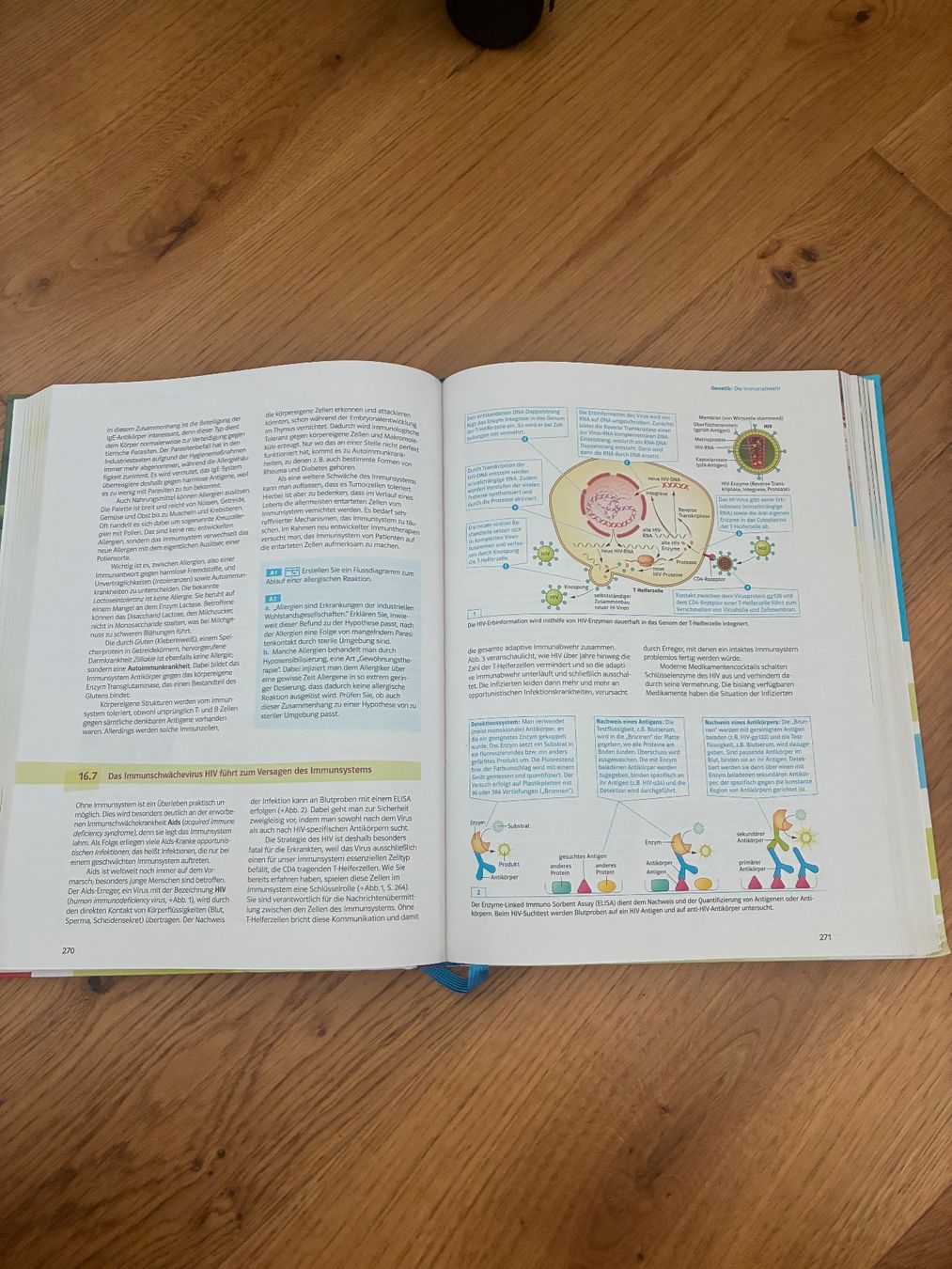 Libri: Markl Biologie – Usato da Dielsdorf venduto da aid_6lk7 1