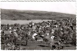 Ansichtskarte  Beinwil am See