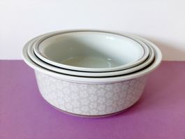 3 Schüsseln Dalarna Villeroy & Boch Set