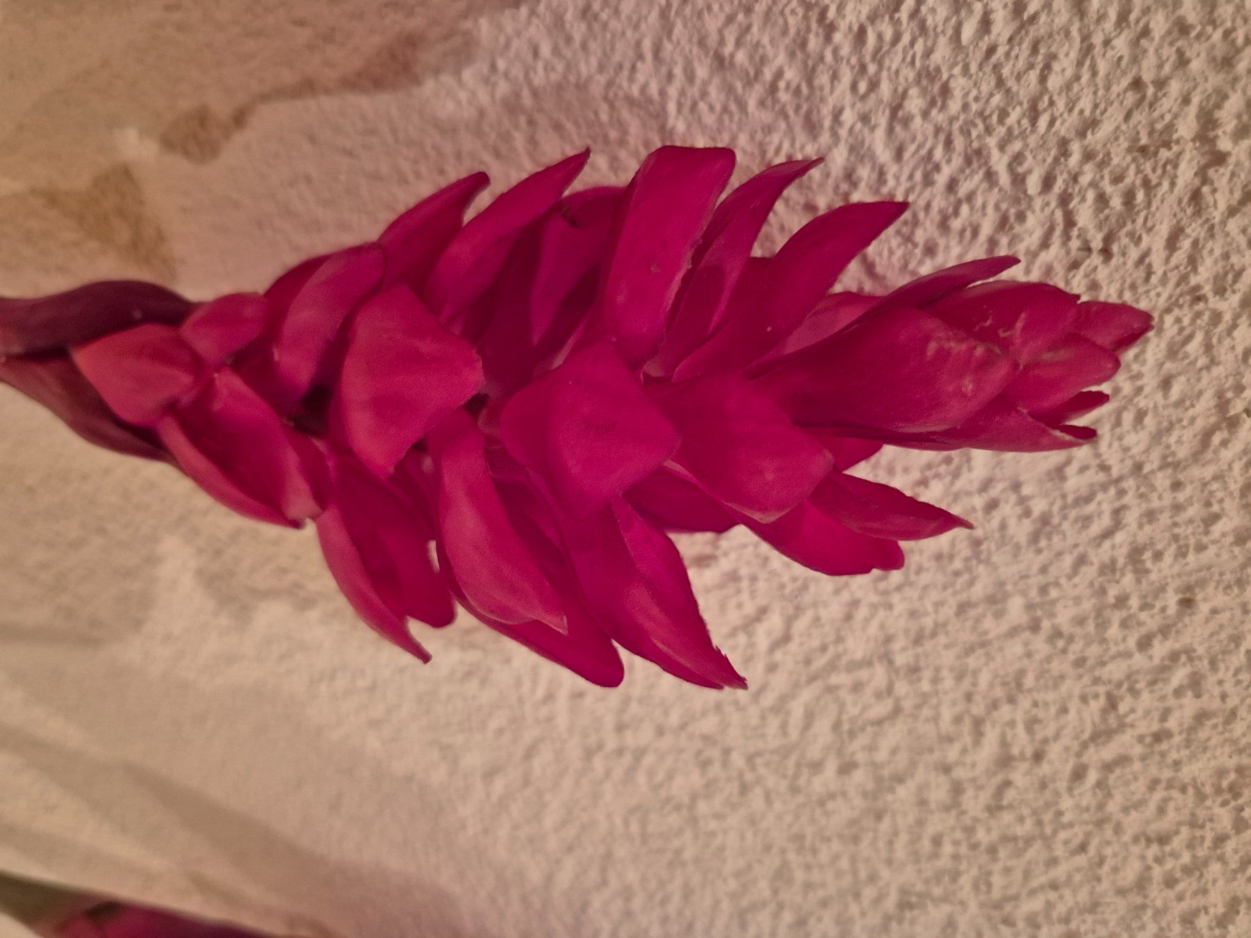 Tutte le decorazioni: 3 Kunstblumen – Usato da Kriens venduto da honig01 3
