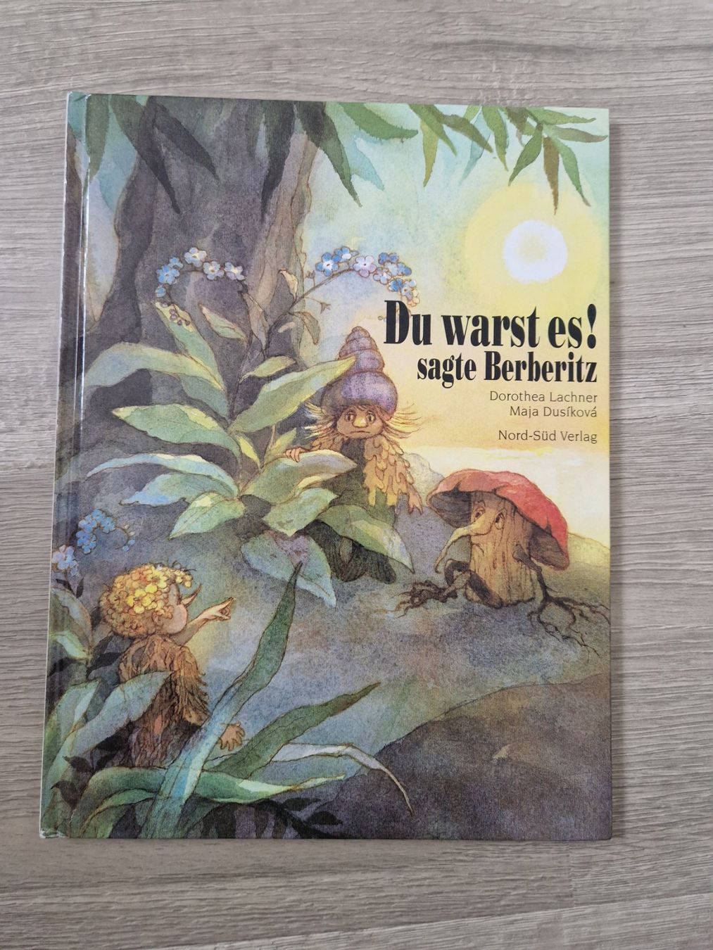 Libri: Buch du warst es – Usato da Balterswil venduto da Little-nemo