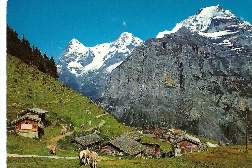 MÜRREN Eiger Mönch Jungfrau; Phot. E. Gyger (Gebraucht) in Thun für CHF ...