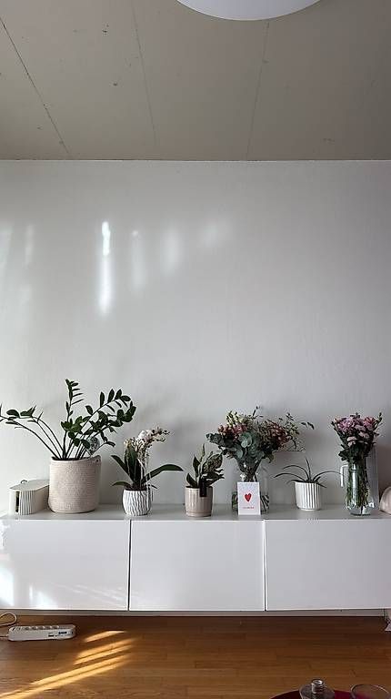 Ikea Mobili TV: TV Möbel IKEA Besta – Usato da Schlieren venduto da nat_77g5 4