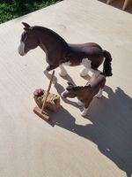 Schleich Set
