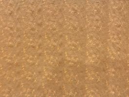 Tissu coton brodé crêpe fleurs orange doré