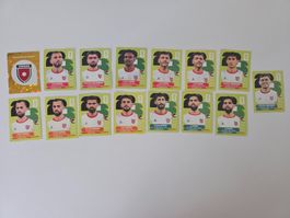 Sticker Panini WM 2026 Jordan 15 Stk