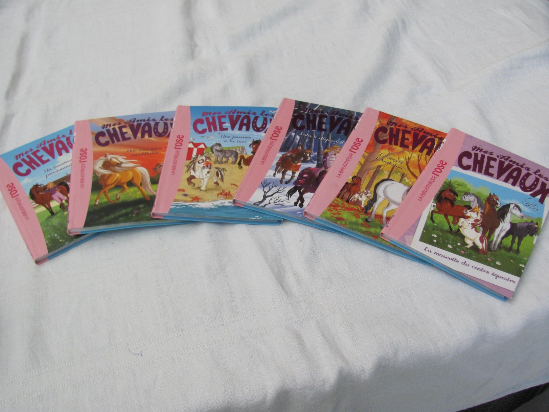 Libri: Les Chevaux – Usato da Vétroz venduto da magnolia5