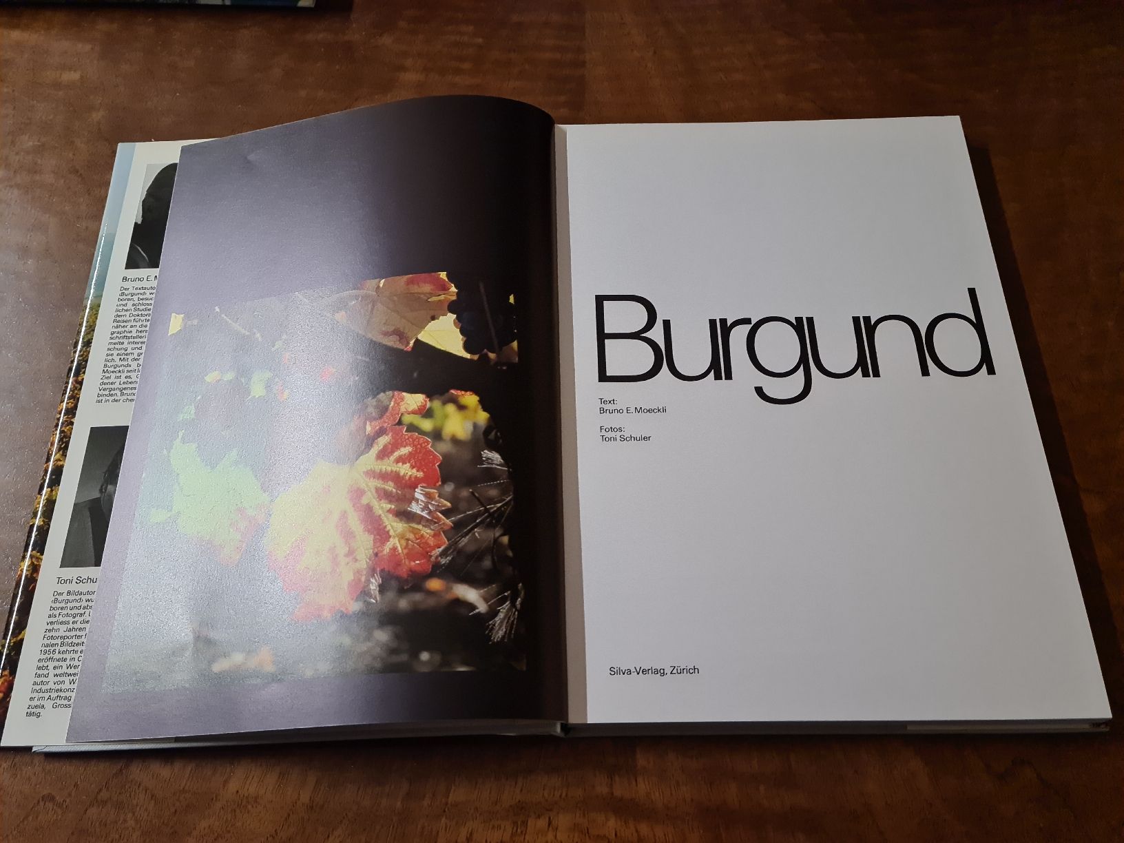 Libri: Burgund – Usato da Erstfeld venduto da Uhu1980 1