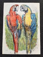 Lithografie / Papageien von FRITZ HUG 1968     (ID B5724)