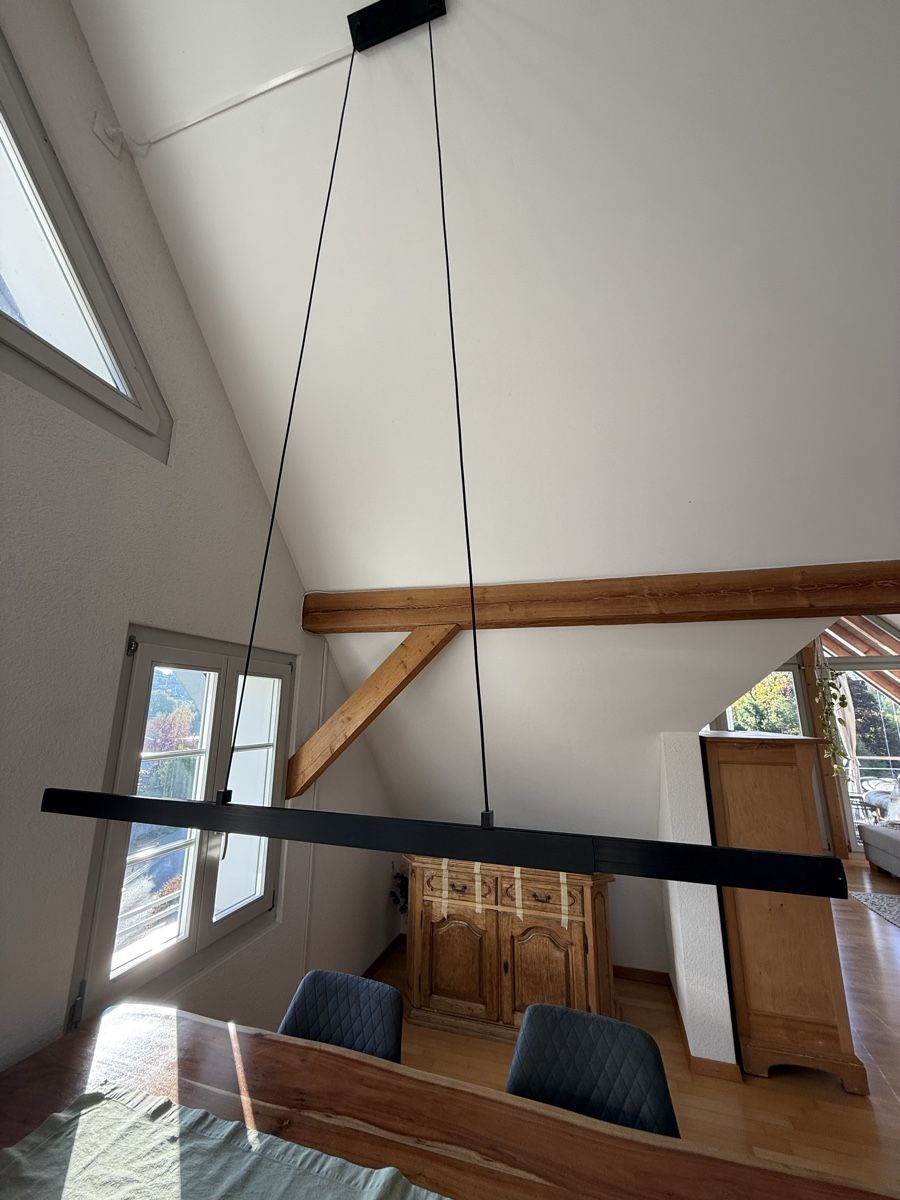 Pfister Lustres & lampes de plafonds: Hängeleuchte Metall schwarz – D'occasion à Küttigen par milena_k 1