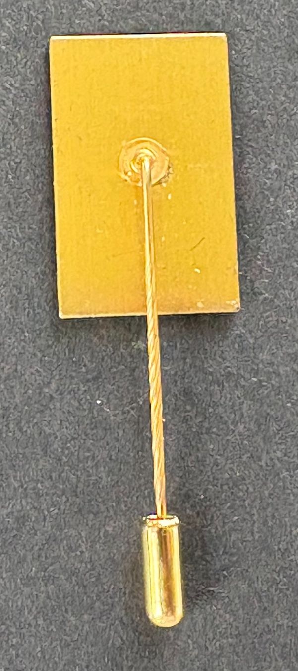 Plaquettes & Badges: ANSTECKNADEL ALBERT SCHWEITZER – D'occasion à Ostermundigen par wini63 1