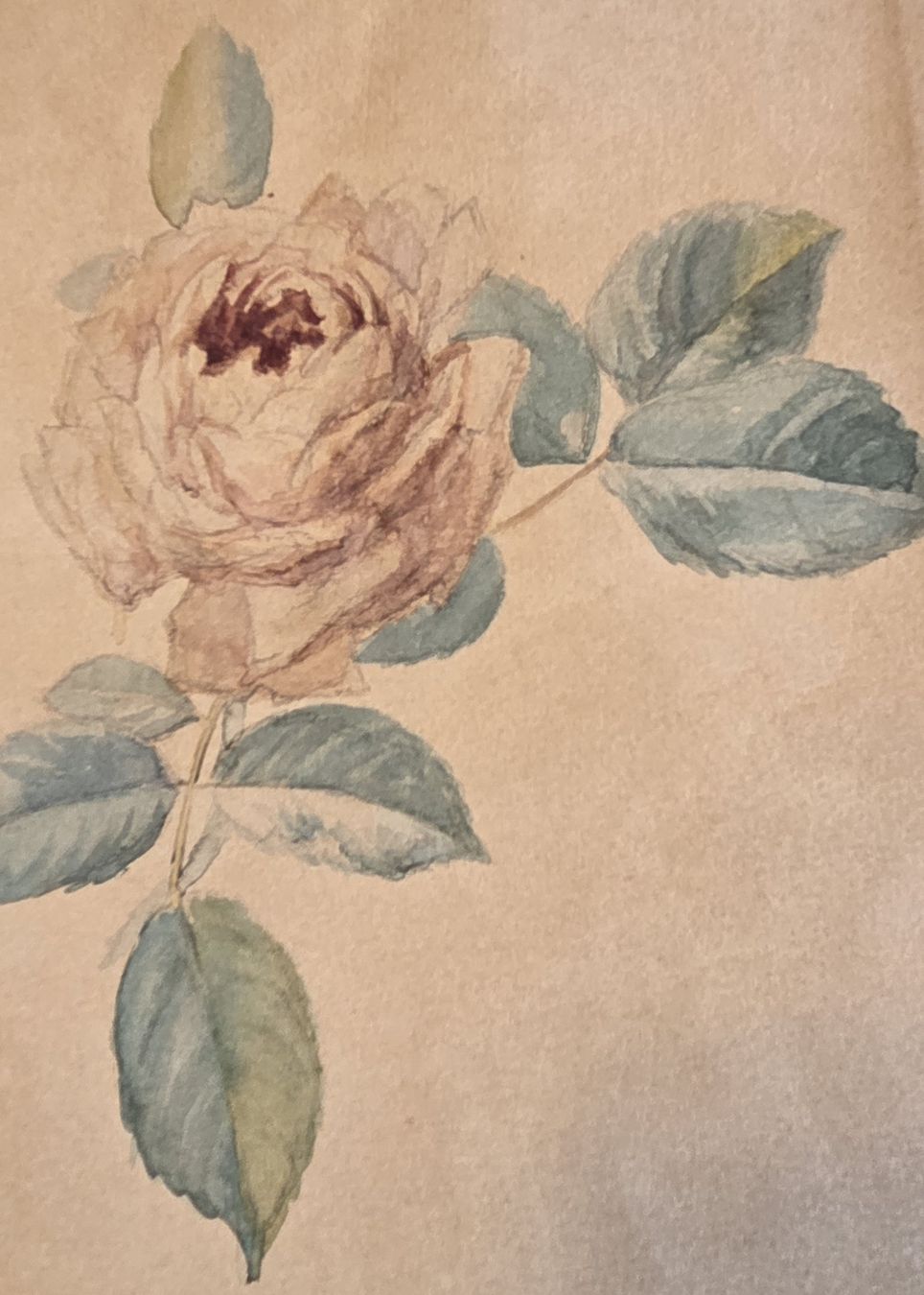 Dipinti: Original Aquarell Rose handgeschöpftes Papier – Usato da Rehetobel venduto da hobirot01 5