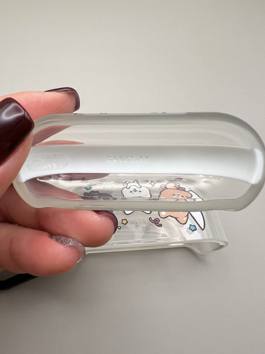 Cover & Protezioni schermo: Casetify AirPods Pro Case – Usato da Bern venduto da RussianDoll 4